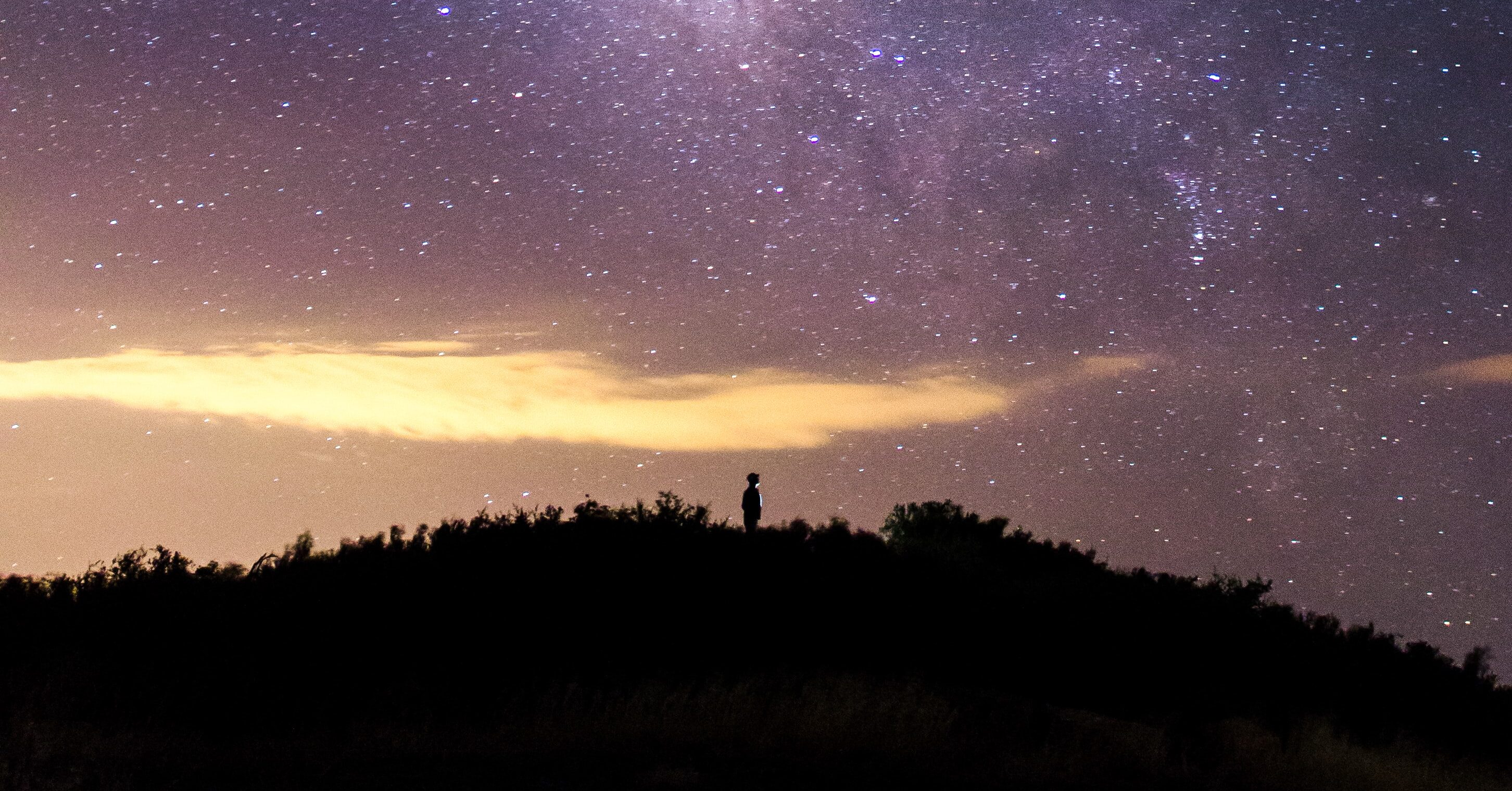 Dealing with uncertainty and change